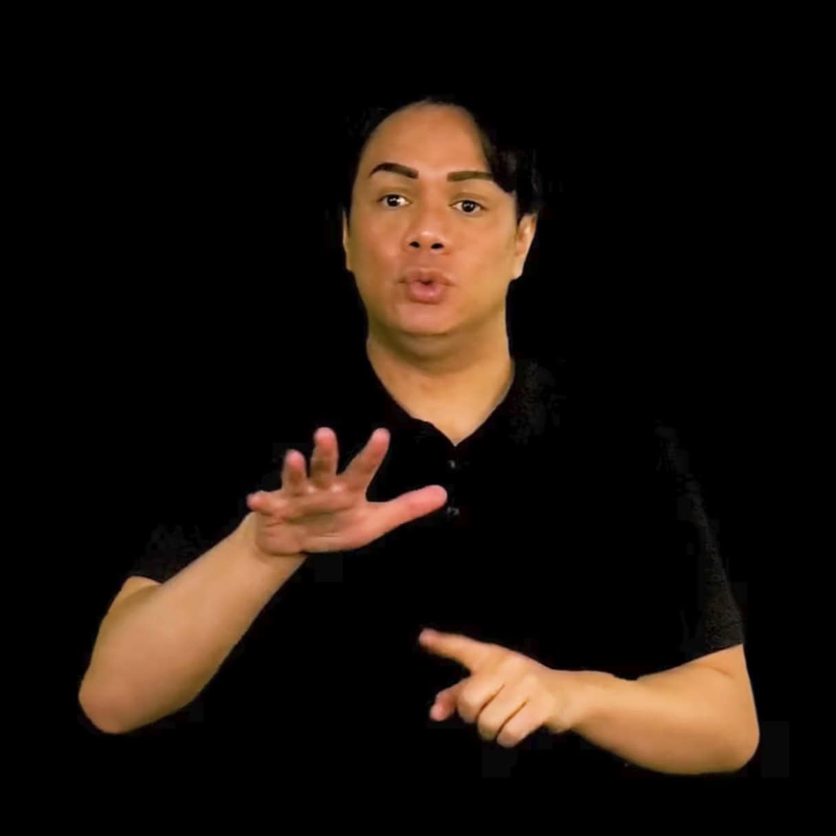 High quality NZSL translation